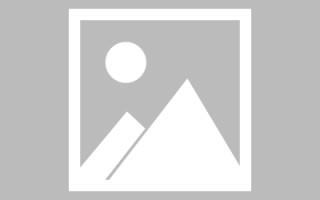 乐陵制作网站发布信息（网站如何发布信息）